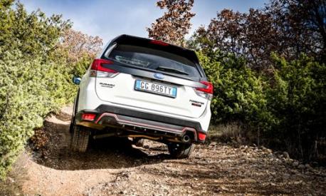 Subaru Forester Dventure My Prova Caratteristiche E Prezzo