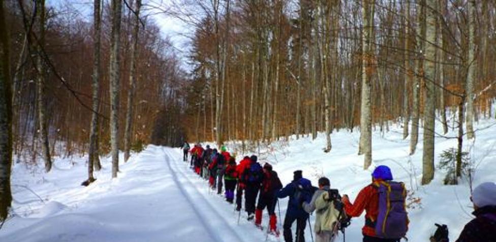 siti x incontrare single jonas