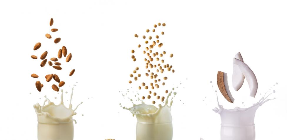Latte vegetale: la top 5, per gli intolleranti al lattosio