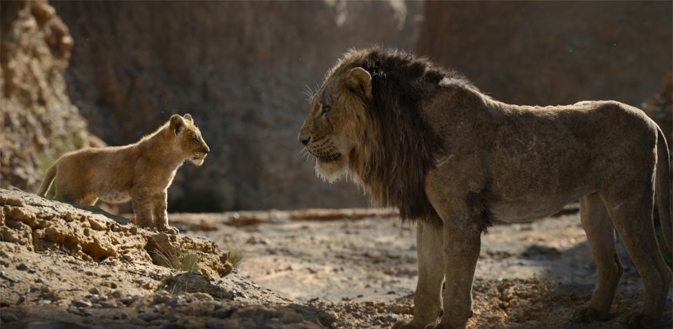 Il Re Leone in tv, le curiosità e il cast del film stasera su Rai 1