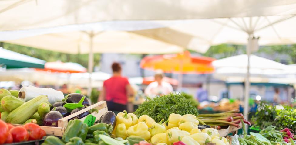 Meglio consumare verdure surgelate o verdure fresche? - Lagostina