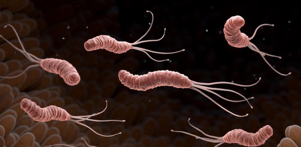 IN-FORMA SALUTE: COME RICONOSCERE L'HELICOBETTER PYLORI, NEMICO DELLO  STOMACO. 