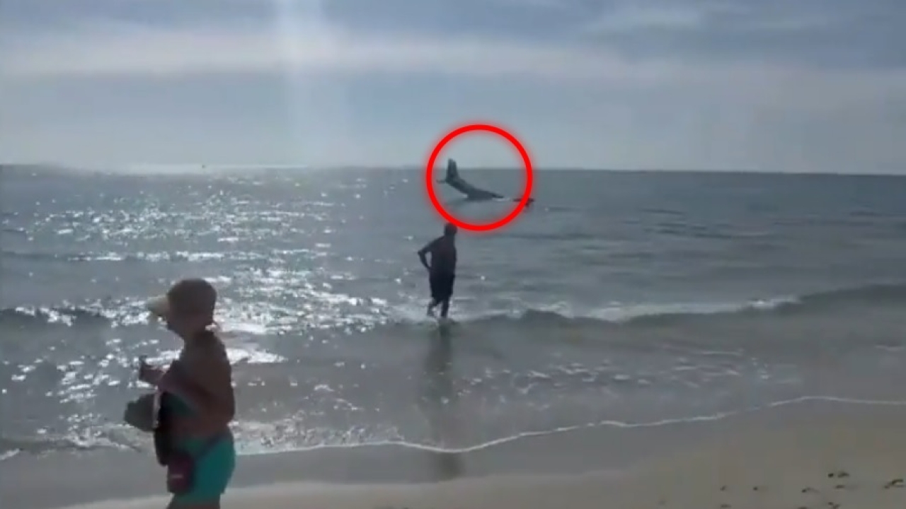 aereo perde quota e si schianta in mare bagnanti sbalorditi da Video.gazzetta.it aereo perde quota e si schianta in mare bagnanti sbalorditi
