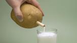Potato milk, trending super food. Vegetable non-dairy milk