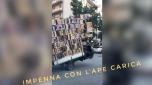 Un equilibrista della porta accanto il 4 gennaio si dilettava sulle strade del centro di Palermo in piccole acrobazie da stunt alla guida di una Piaggio Ape. Infatti il trasportatore urbano nonostante il suo mezzo da lavoro sia stracarico di cassette di legno riesce a impennare la piccola tre ruote e a precorre qualche decina di metri in mono ruota mantenendo il mezzo in equilibrio con la ruota anteriore a mezzaria utilizzando in modo attento lacceleratore e il freno posteriore.