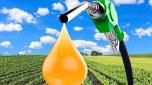 Lo sviluppo della produzione dei biocarburanti, ottenuti da processi naturali anziché da attività estrattive, è già una realtà