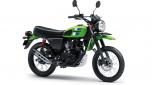 La Kawasaki W175 TR 2023 è proposta solo nella colorazione "Lime Green"