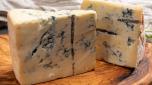 Cheese collection, Italian gorgonzola cheese made from unskimmed cow milk in Piedmont and Lombardy close up