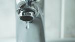 Ameba mangia cervello nell'acqua del rubinetto: morto un uomo in Florida