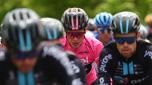 Team DSM's Norwegian rider Andreas Leknessund (C) wearing the overall leader's pink jersey cycles with the pack of riders during the seventh stage of the Giro d'Italia 2023 cycling race, 218 km between Capua and Gran Sasso d'Italia, on May 12, 2023. (Photo by Luca Bettini / AFP)