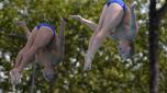 David Ekdal and Elias Petersen of Sweden dive during synchronised Men's 3m springboard competition, at the European aquatics, in Rome, Sunday Aug. 21, 2022. (AP Photo/Domenico Stinellis)
