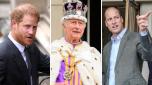 Re Carlo, William e Harry i rapporti tesi in un nuovo libro