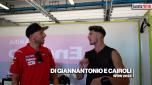 Cairoli Di Giannantonio Wdw