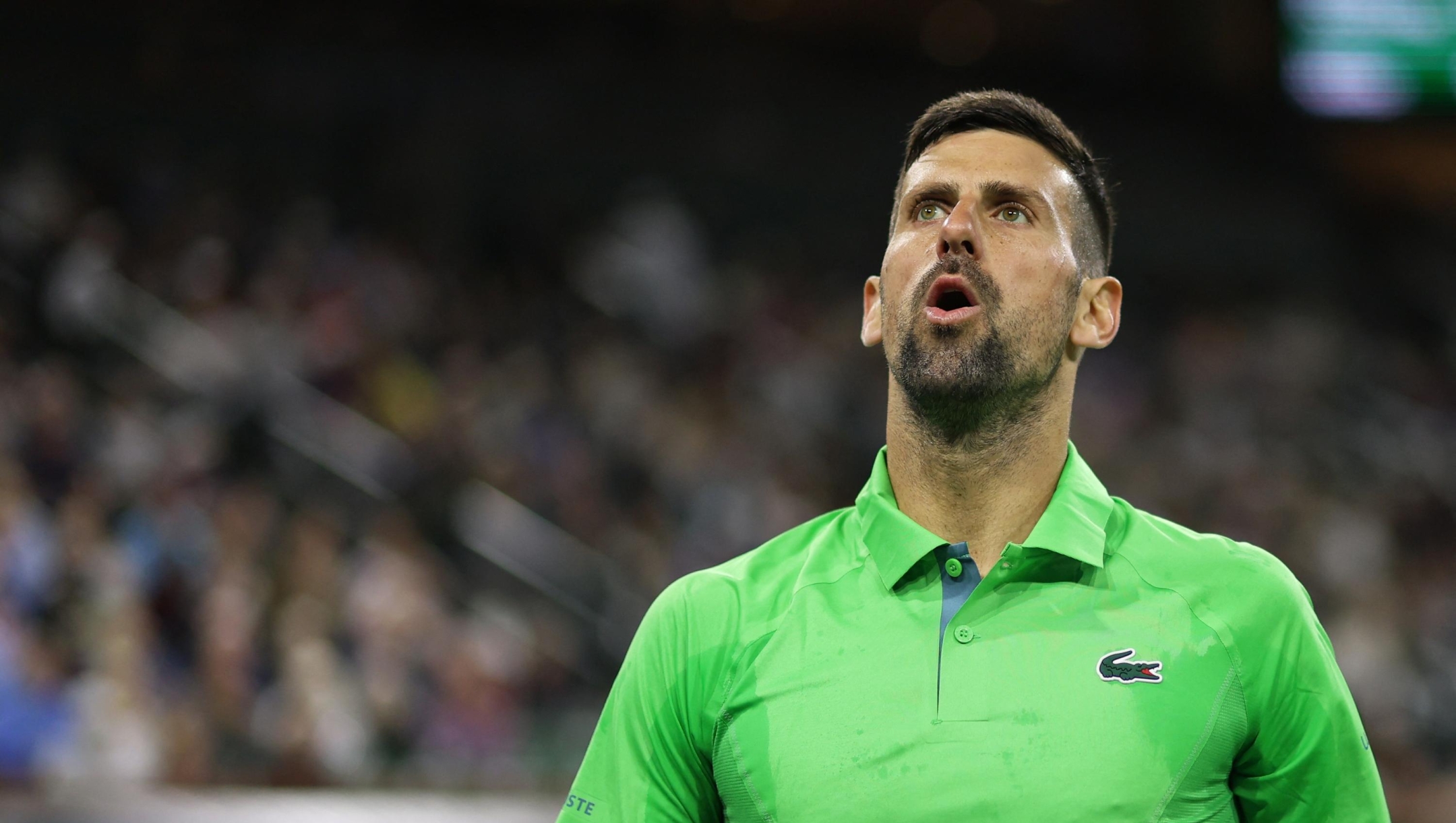 INDIAN WELLS, CALIFORNIA - MARCH 11: Novak Djokovic of Serbia shows his dejection during his three set defeat against Luca Nardi of Italy in their third round match during the BNP Paribas Open at Indian Wells Tennis Garden on March 11, 2024 in Indian Wells, California.   Clive Brunskill/Getty Images/AFP (Photo by CLIVE BRUNSKILL / GETTY IMAGES NORTH AMERICA / Getty Images via AFP)