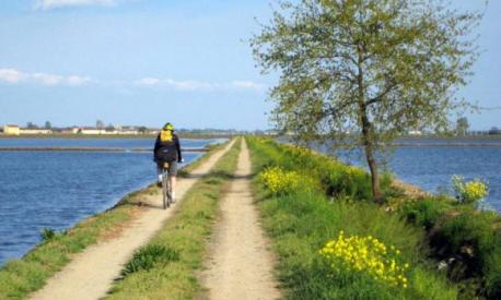 La Via Francigena? Falla in bici, oggi è la più lunga pista ciclabile  d'Italia!