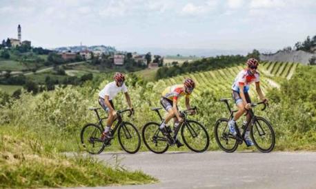 Nel Gavi, in Piemonte, itinerari apprezzati per il ciclismo su strada. Arc. Alexala/G. Grassano