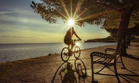 A Trieste una ciclabile lunga 4 chilometri costeggia il mare. Pagina Facebook “Discover Trieste”/A. Perossa