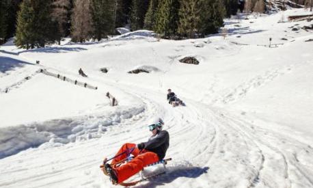 Le cinque piste per gli slittini da non perdere, da Vipiteno alla Val  Gardena in Alto Adige. Aperte di giorno e di notte