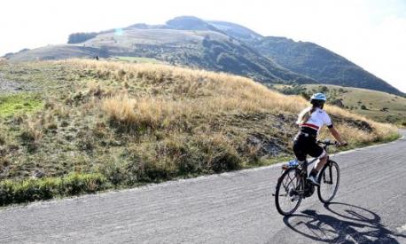 Trekking bike a pedalata assistita, perfette per i viaggi su strada e in città. Masperi