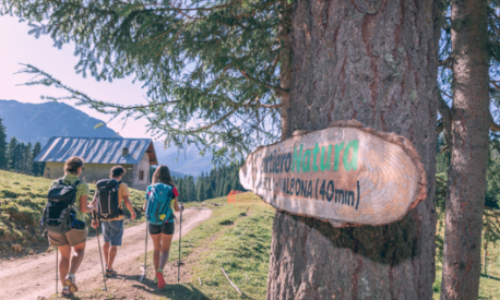 I percorsi benessere proposti all’Alpe Lusia includono passeggiate a piedi nudi. Apt Val di Fassa/P. Ramirez