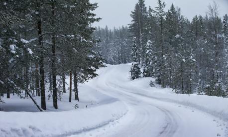 Come si presentava l’area di Rovaniemi a pochi giorni dal Rally di Finlandia 2021. Toyota Gazoo Racing