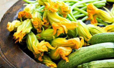 Verdure di maggio zucchine e fiori di zucca