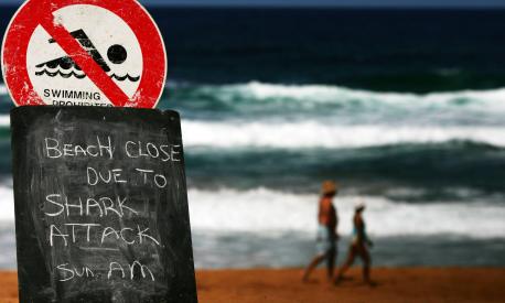 Avalon Beach, a nord di Sydney, dopo un attacco mortale nel 2009. Ph. by Ian Waldie/Getty Images