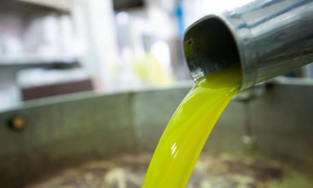 Scarti olio extravergine d'oliva fanno bene ai muscoli