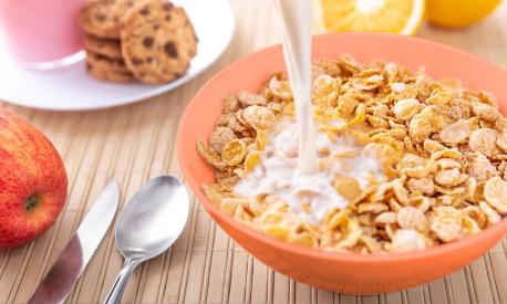 Cereali a colazione quali scegliere