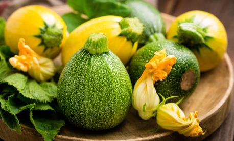 Le zucchine con i fiori: valori nutrizionali, proprietà e benefici