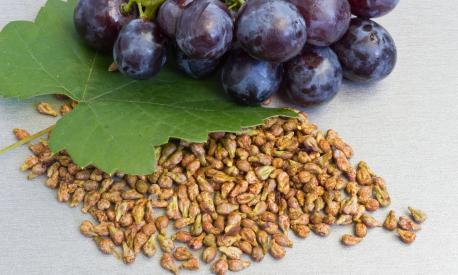 Grapes and grape seeds on the table