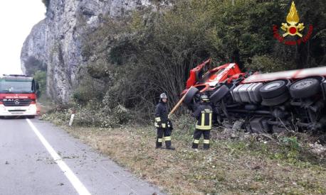 Incidente Mortale Belluno: Camion Investe Cervo, Morti Conducente E ...