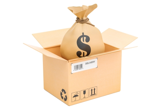 Bag with dollars inside parcel, money order concept. 3D rendering