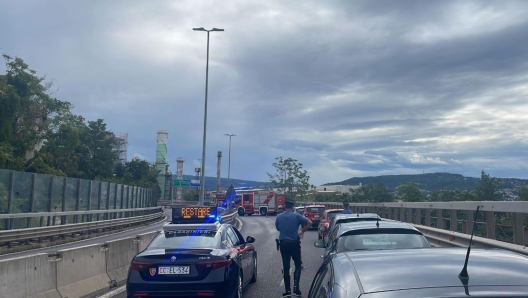 Gli inquirenti e la polizia scientifica sul luogo dove un cadavere è stato ritrovato sospeso all'esterno della strada, in una zona di vegetazione, poco visibile per chi transita con l'auto da alcuni tecnici dell'Anas a Trieste, 24 settembre 2023. ANSA/ALICE FUMIS