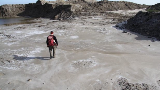 Attraverso le saline del Delta