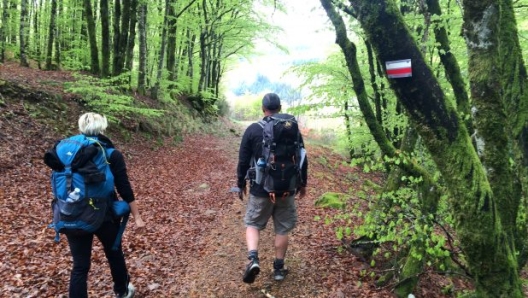 In marcia scortati dai segnavia del GR 653, sigla del Cammino di Santiago in terra francese