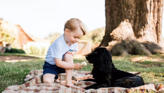 Il principino George, tre anni il 22 Luglio 2016, ritratto mentre offre un gelato al cane della famiglia reale, Lupo. La foto  stata scattata nella tenuta di Norfolk da Matt Porteous (credit EPA).