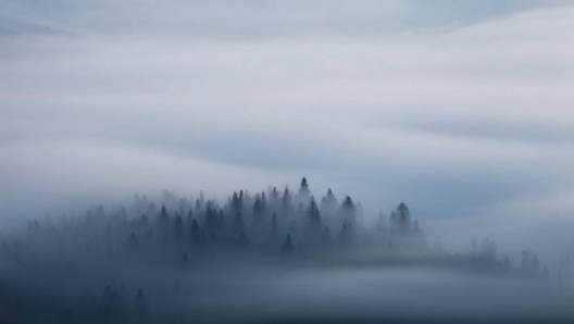  (foto di Martin Rak)