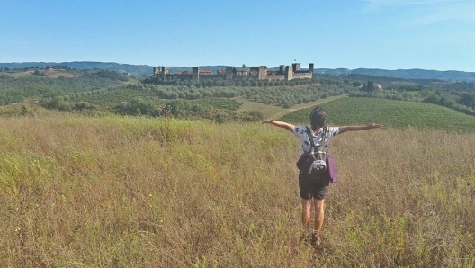 In cammino verso Monteriggioni