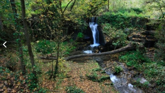 Parco Valle del Treja