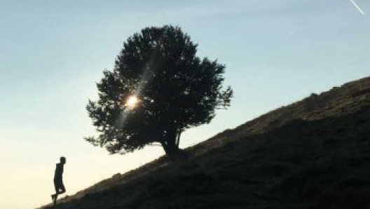 "A piedi nudi" (Ediciclo), il nuovo libro di Andrea Bianchi