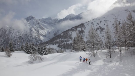 Con le ciaspole in Val di Sole