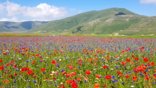 Castelluccio (foto Cristina Menghini)