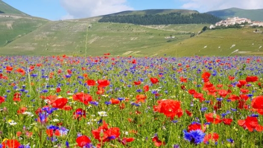 Castelluccio (foto Cristina Menghini)