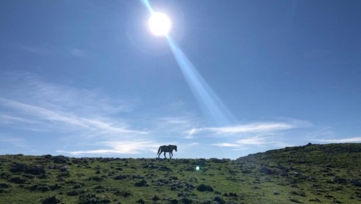 La spianata in cima a Monte Scuderi