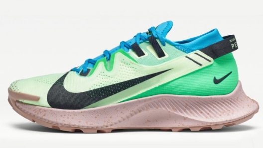 Nike Pegasus Trail 2