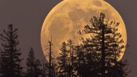 Il Parco dello Yosemite