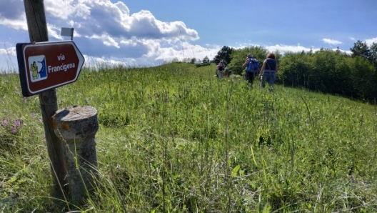 La Via Francigena