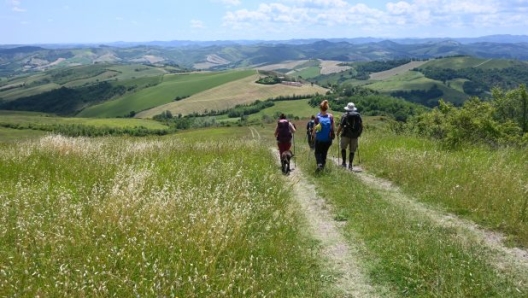 Via dei Gessi e dei Calanchi, tappa 2 (foto Sara Zanni)