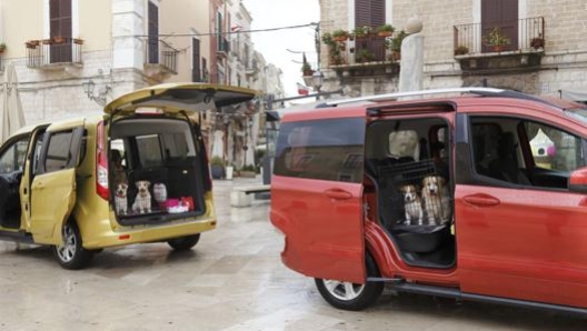 Cani in auto a Bari Vecchia. Novelli